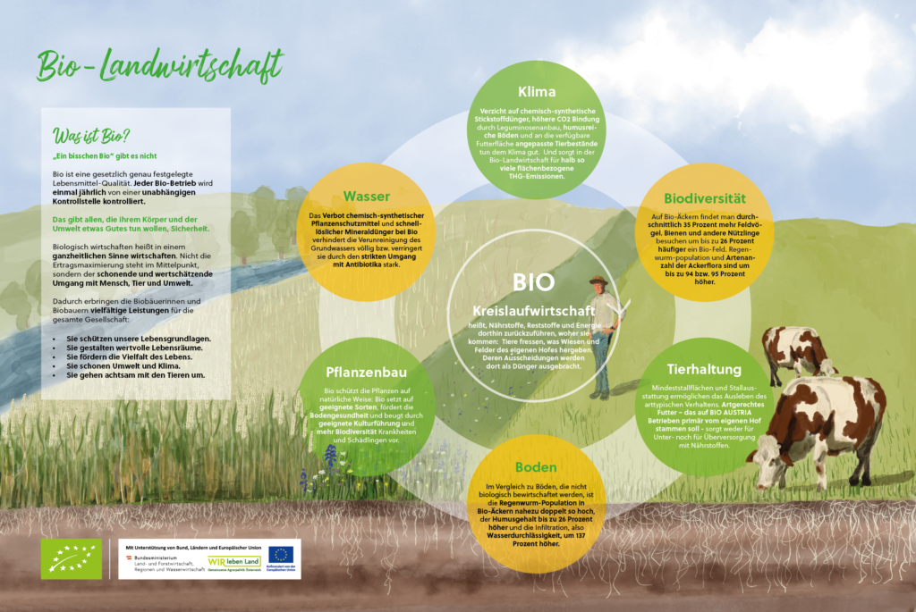 Infografik zur Bio-Landwirtschaft