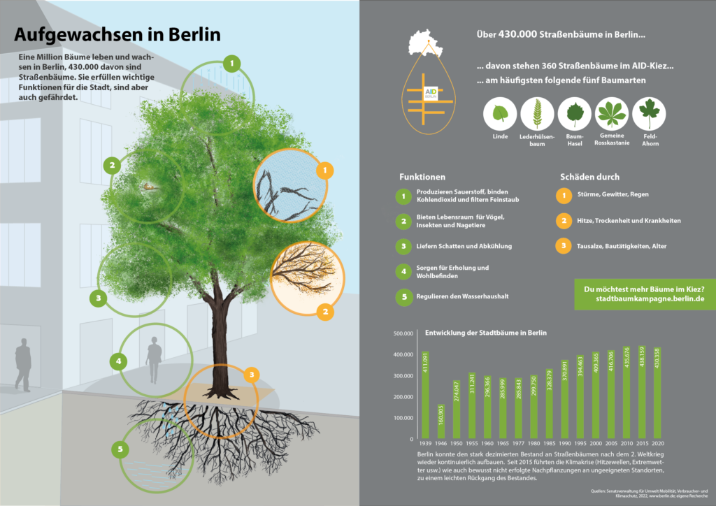 Infografik zu Stadtbäumen in Berlin